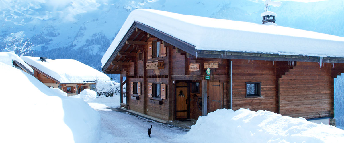 Appartements dans chalet neuf le Pont des Crêts sur la route des Confins à 3 kilomètres du village